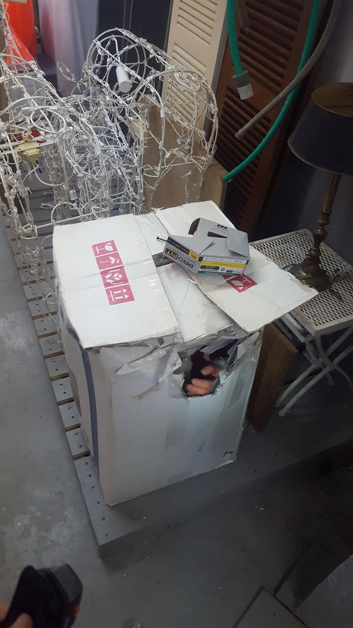 Turned On A Light In The Basement Of An Old House And Freaked Out For A Second