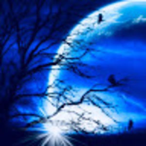 netrakrishnan avatar