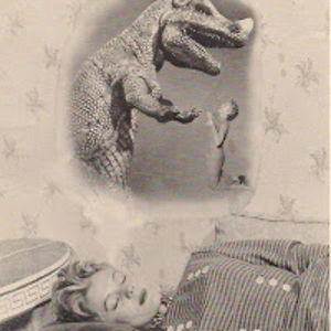 carolhelander avatar