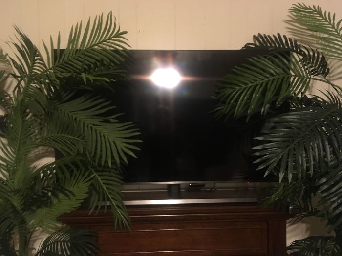 This Is My Moms TV That We Have To Watch Shows And Movies On