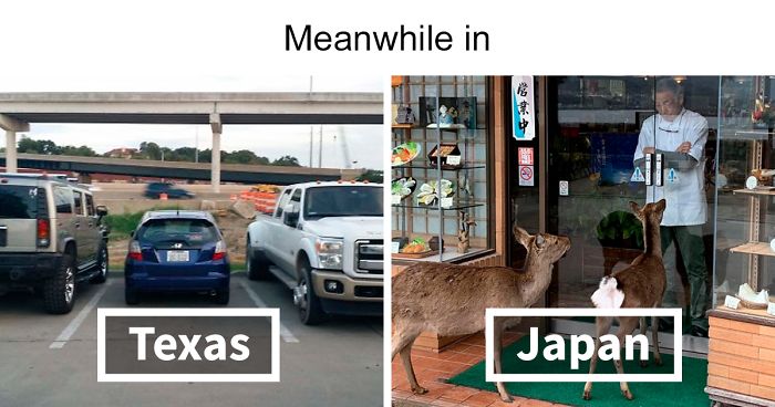People Are Posting ‘Meanwhile In’ Memes That Hilariously Summarize Different Countries (40 Pics)