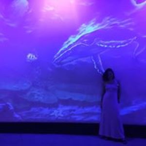 andreacomplex avatar