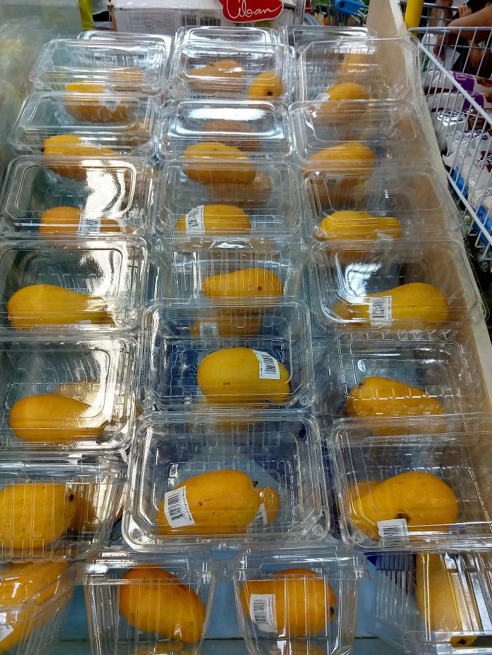 Why Is The Ocean Filling Up With Plastic?