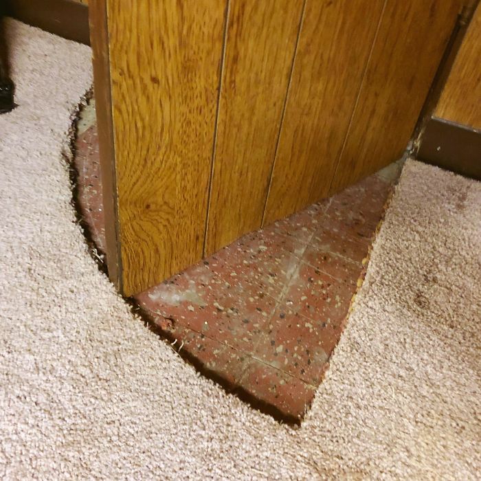The Way They Cut The Carpet To Make This Door Open Instead Of Just Cutting The Door. (Found In Basement Of Newly Bought House)