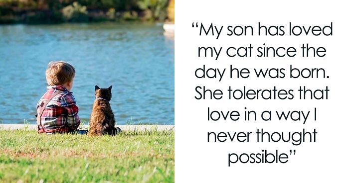 45 Wholesome Cat Posts That Will Hopefully Make Your Day