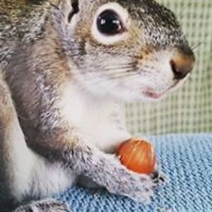 delphia_strickland avatar