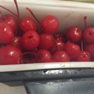 carlsonlinda102 avatar