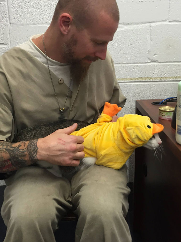 Prison In Indiana Accepts Shelter Cats And They Change Prisoners Prison In Indiana Accepts Shelter Cats And They Change Prisoners