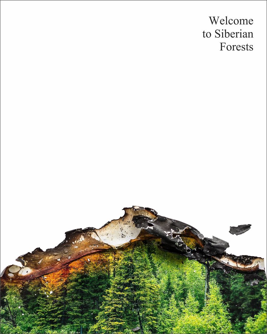 Siberian Forests Are On Fire And I Can‘t Be Silent, So I Created A Series Of Posters Siberian Forests Are On Fire And I Can‘t Be Silent, So I Created A Series Of Posters