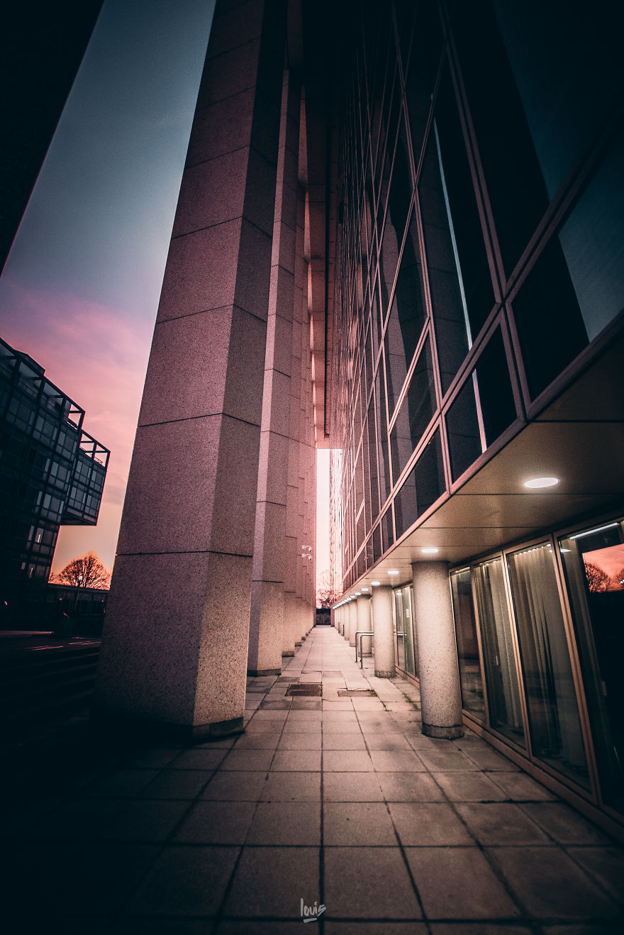 Purple Vanishing Lines