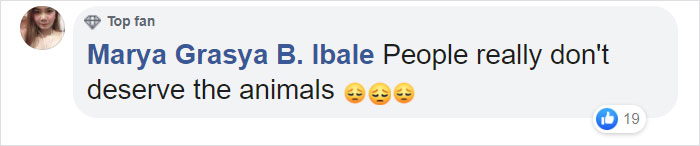 Tourists Throw Rocks At Panda Because They're Bored She's Sleeping