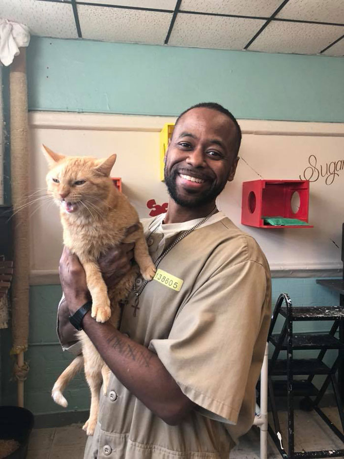 Prison In Indiana Accepts Shelter Cats And They Change Prisoners Prison In Indiana Accepts Shelter Cats And They Change Prisoners
