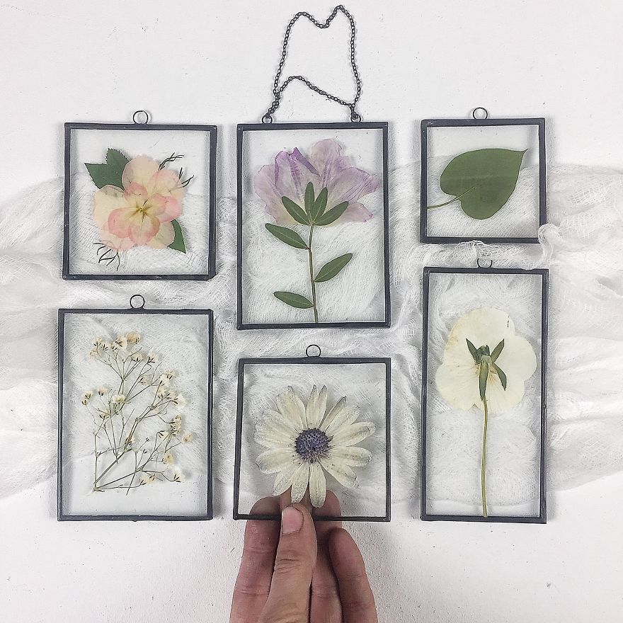 Flowers In My Life: How I Learned Many New Things Thanks To One New Hobby