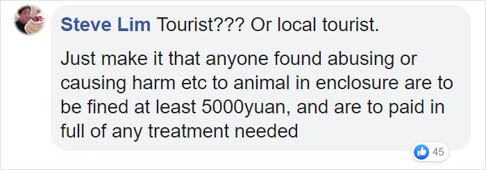 Tourists Throw Rocks At Panda Because They're Bored She's Sleeping Tourists Throw Rocks At Panda Because They're Bored She's Sleeping