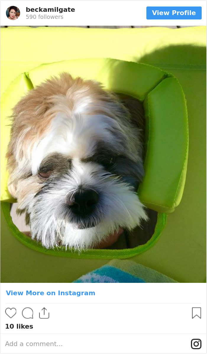 Amazon Is Selling A Beach Lounge Chair That Has A Face Hole For Reading