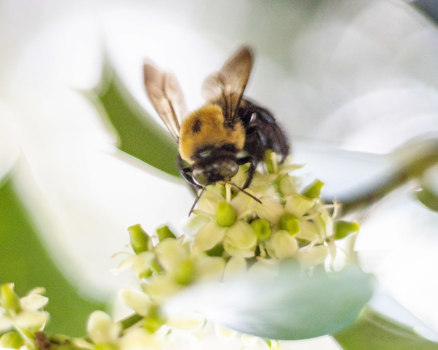 I Create Photography With What I Find In My Yard. I Create Photography With What I Find In My Yard.