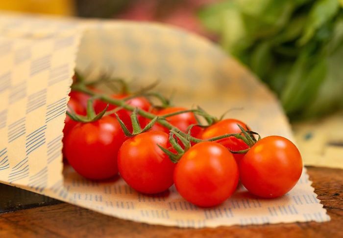 This 24-Year-Old Created Organic Zero-Waste Food Packaging To Replace Plastic This 24-Year-Old Created Organic Zero-Waste Food Packaging To Replace Plastic