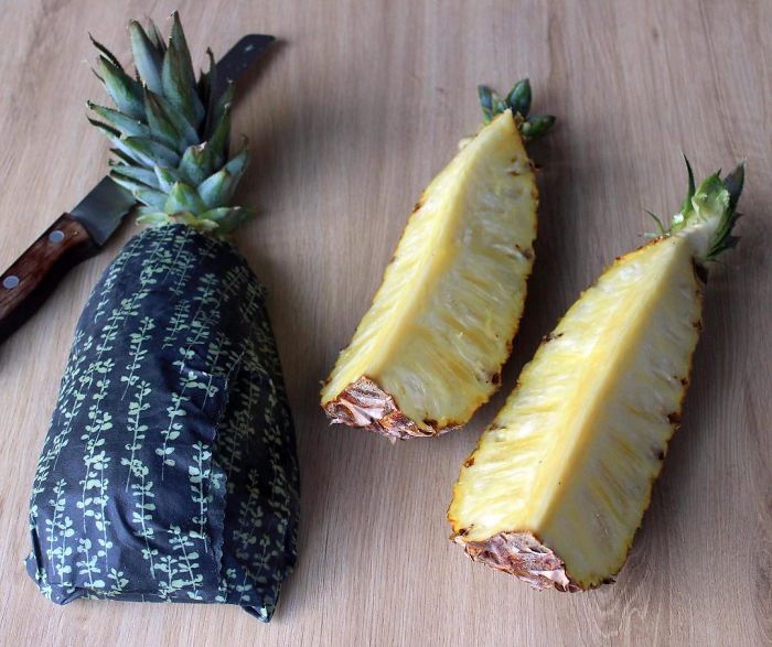 This 24-Year-Old Created Organic Zero-Waste Food Packaging To Replace Plastic This 24-Year-Old Created Organic Zero-Waste Food Packaging To Replace Plastic