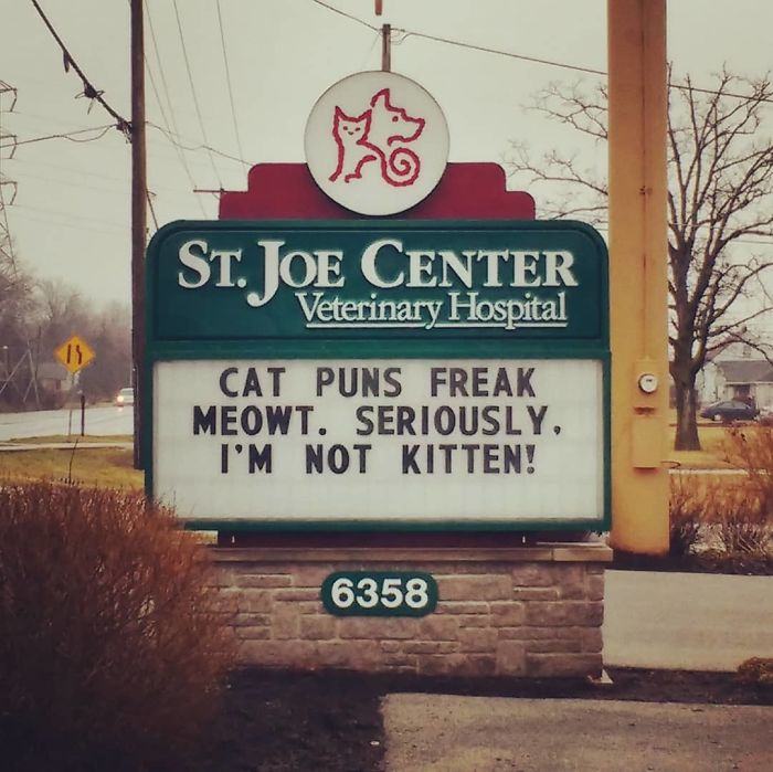 Funny-Cat-Veterinary-Clinic-Signs