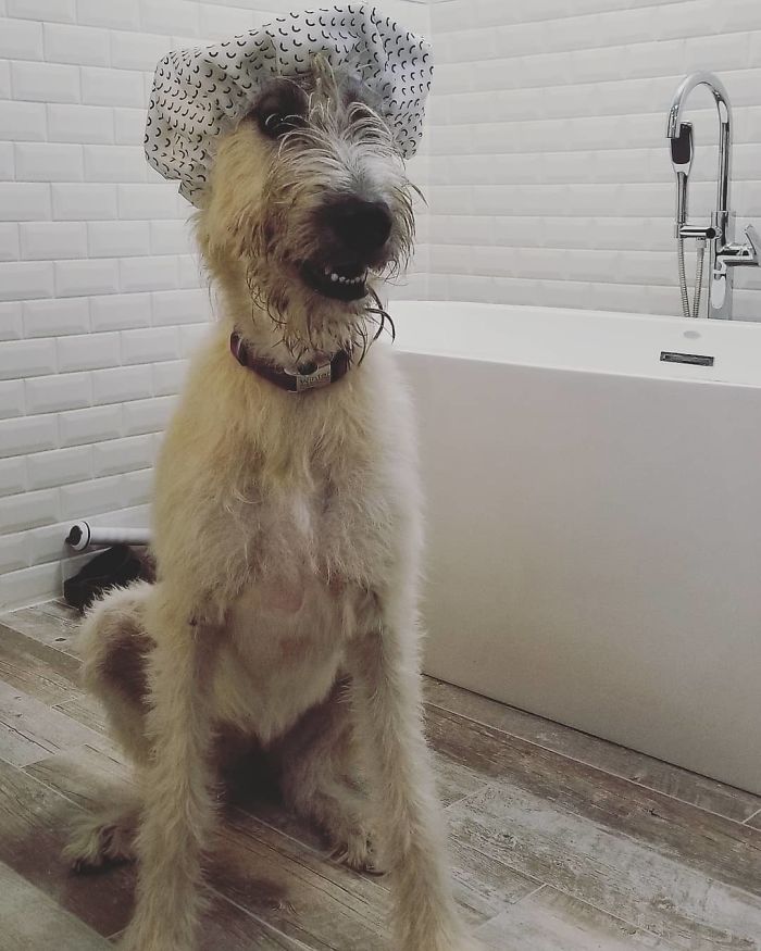 A Girl Needs To Be Pampered Sometimes