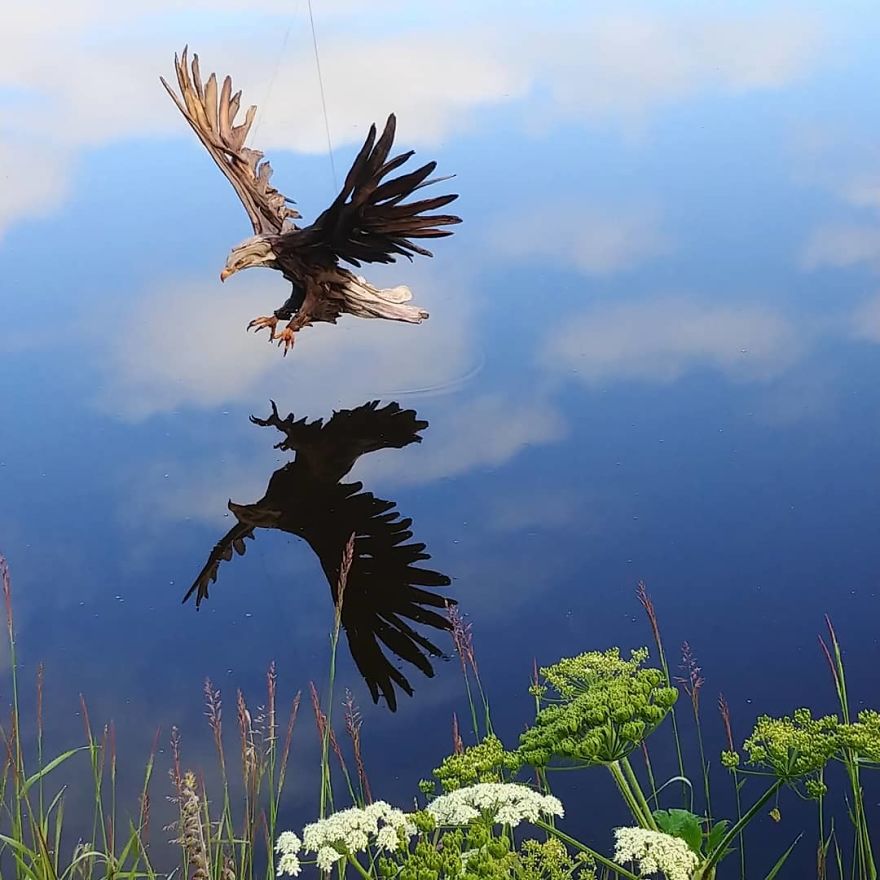 American Artist Creates Art With Reused Wood And The Result Looks Magical