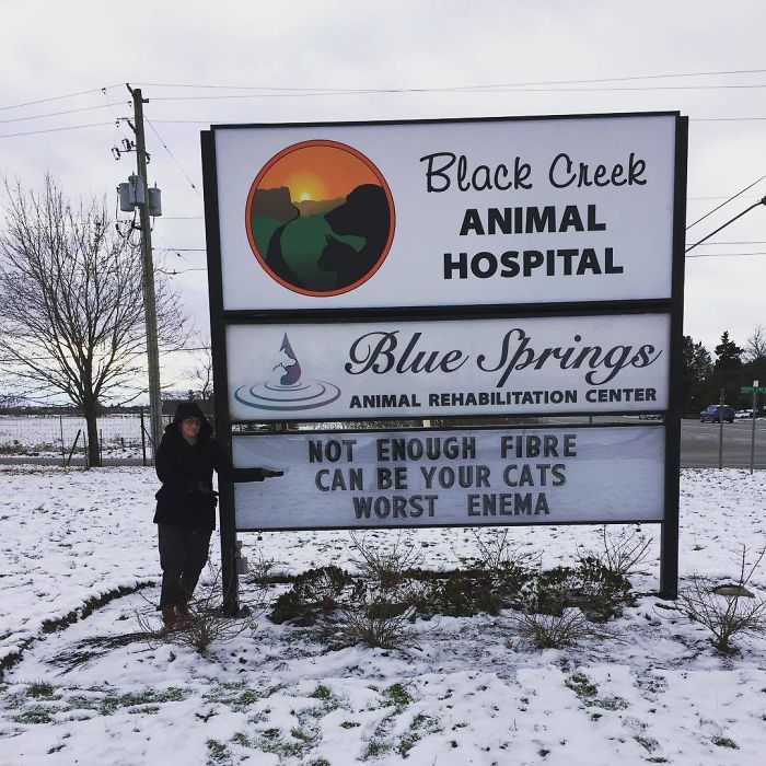 Funny Vet Clinics Signs About Cats Funny-Cat-Veterinary-Clinic-Signs