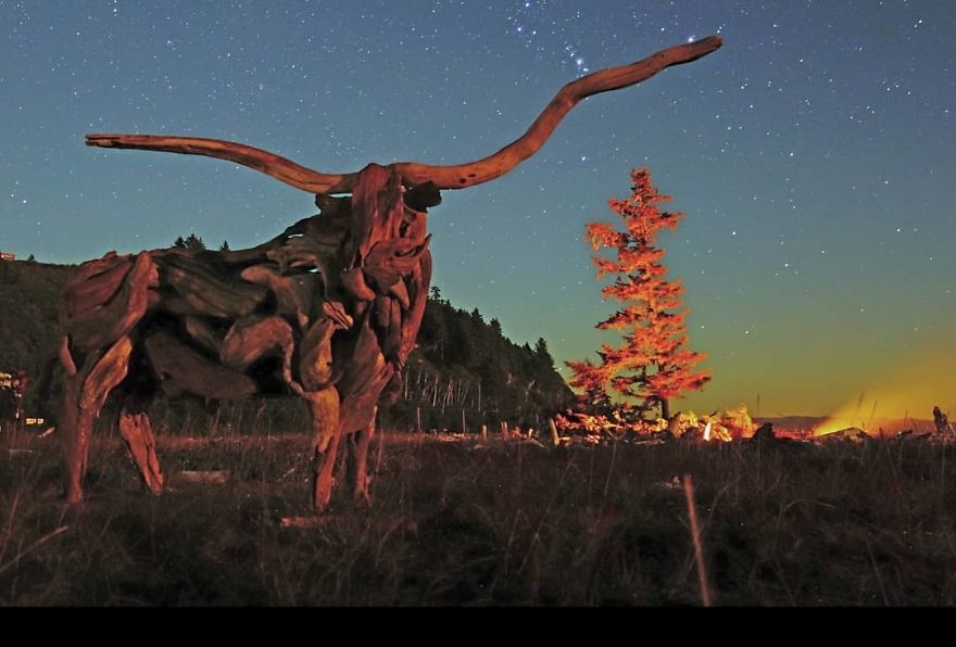 American Artist Creates Art With Reused Wood And The Result Looks Magical