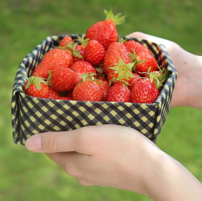 This 24-Year-Old Created Organic Zero-Waste Food Packaging To Replace Plastic