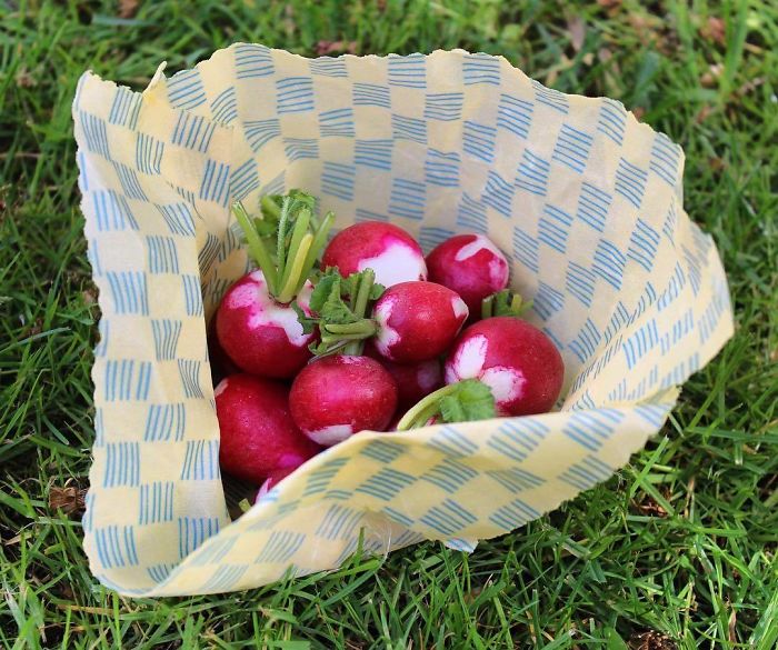 This 24-Year-Old Created Organic Zero-Waste Food Packaging To Replace Plastic This 24-Year-Old Created Organic Zero-Waste Food Packaging To Replace Plastic