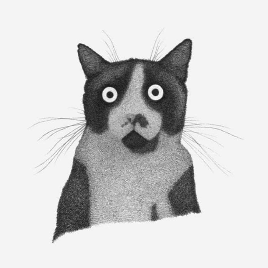 Sir. Amadeus Armando Del Toro