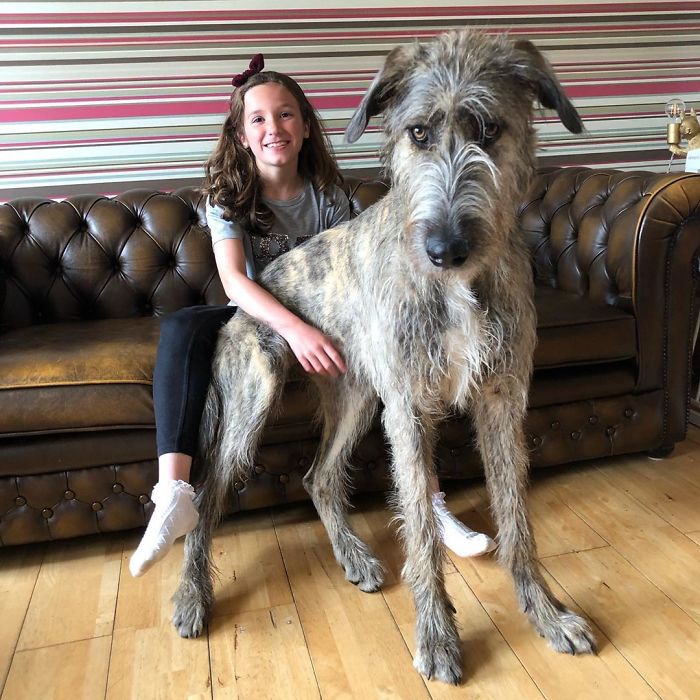 Why Is It Every Time I Try To Get A Comfy Seat There’s A Human Child In My Way?!