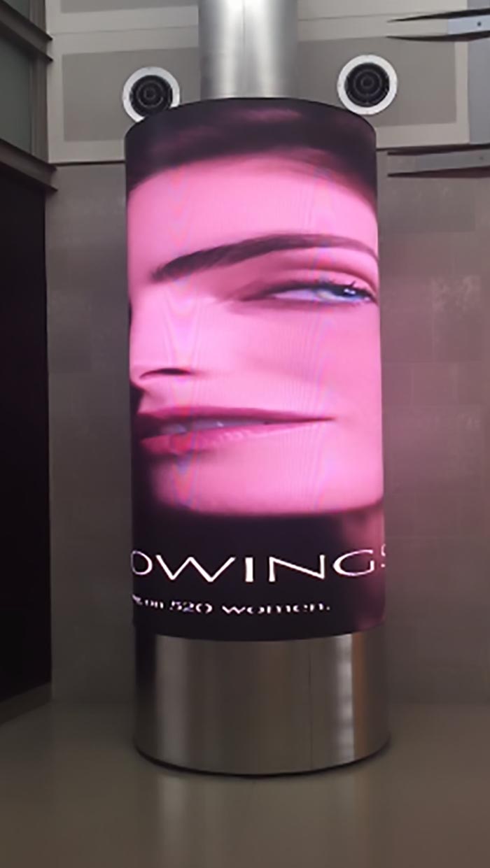 Wonderful Advertisement In The Detroit Airport