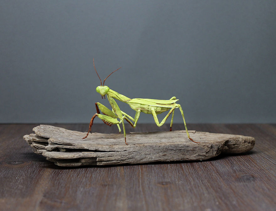 I Am A Paper Artist And I Make Realistic Animals And Insects From Paper (24 Pics) I Am A Paper Artist And I Make Realistic Animals And Insects From Paper (24 Pics)