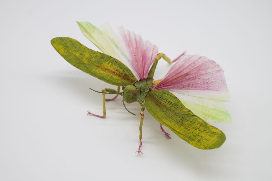 I Am A Paper Artist And I Make Realistic Animals And Insects From Paper (24 Pics) I Am A Paper Artist And I Make Realistic Animals And Insects From Paper (24 Pics)