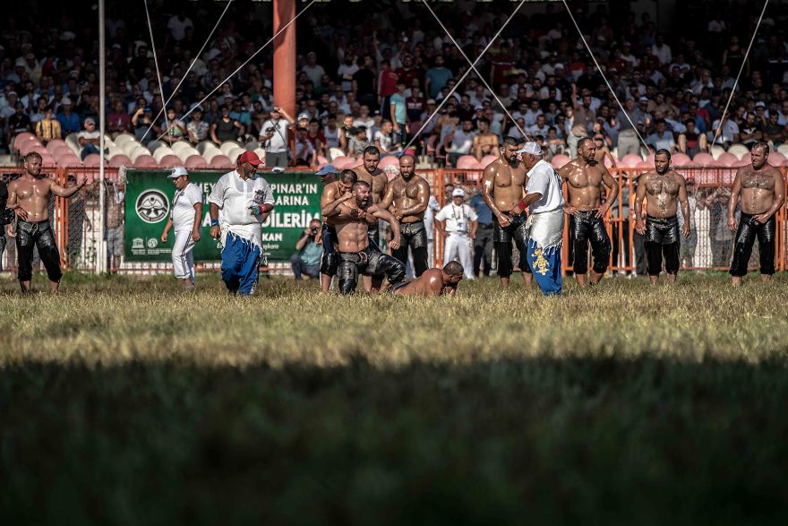 Muscles, Sweat, Blood, And Olive Oil Muscles, Sweat, Blood, And Olive Oil