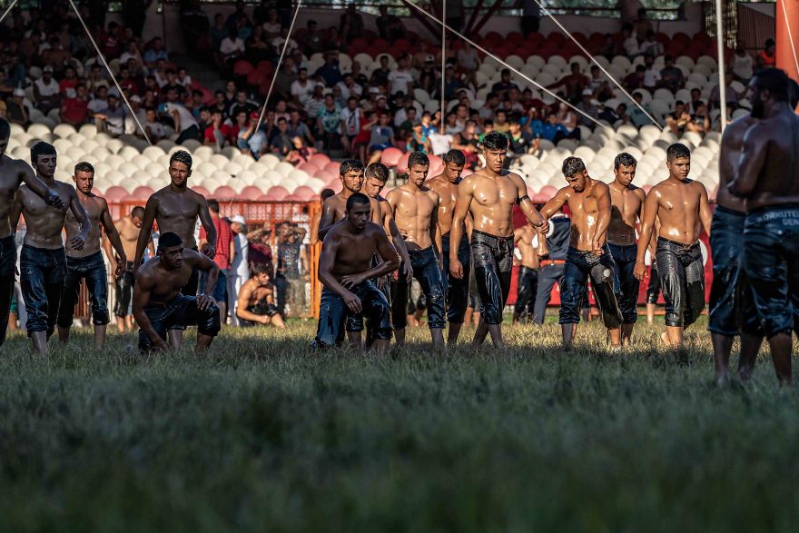 Muscles, Sweat, Blood, And Olive Oil Muscles, Sweat, Blood, And Olive Oil