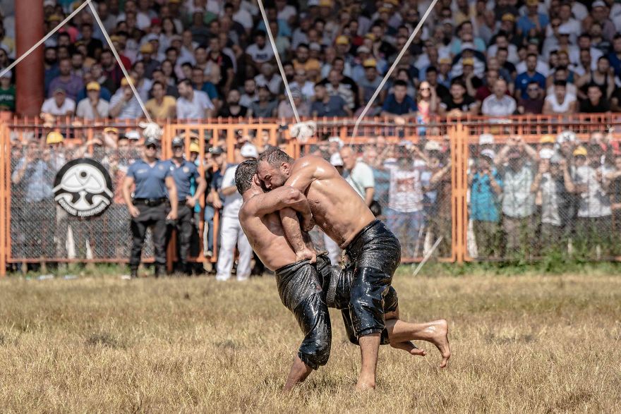 Muscles, Sweat, Blood, And Olive Oil Muscles, Sweat, Blood, And Olive Oil