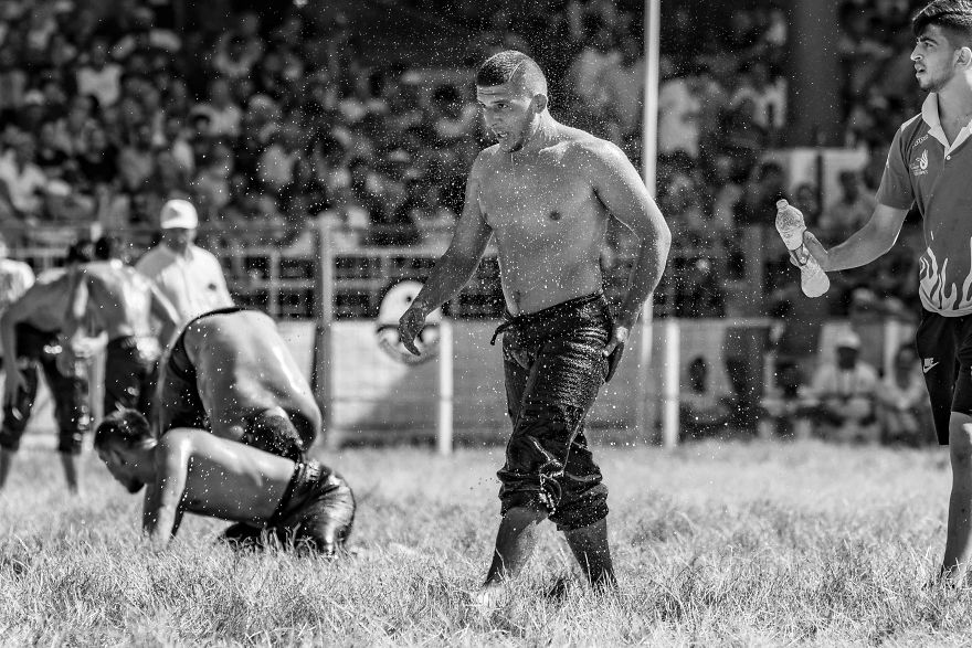 Muscles, Sweat, Blood, And Olive Oil