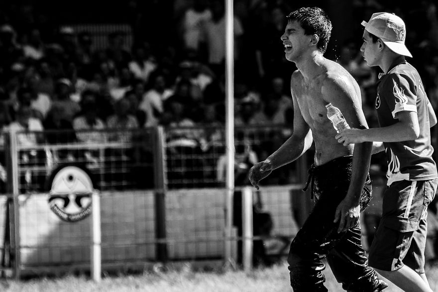 Muscles, Sweat, Blood, And Olive Oil Muscles, Sweat, Blood, And Olive Oil