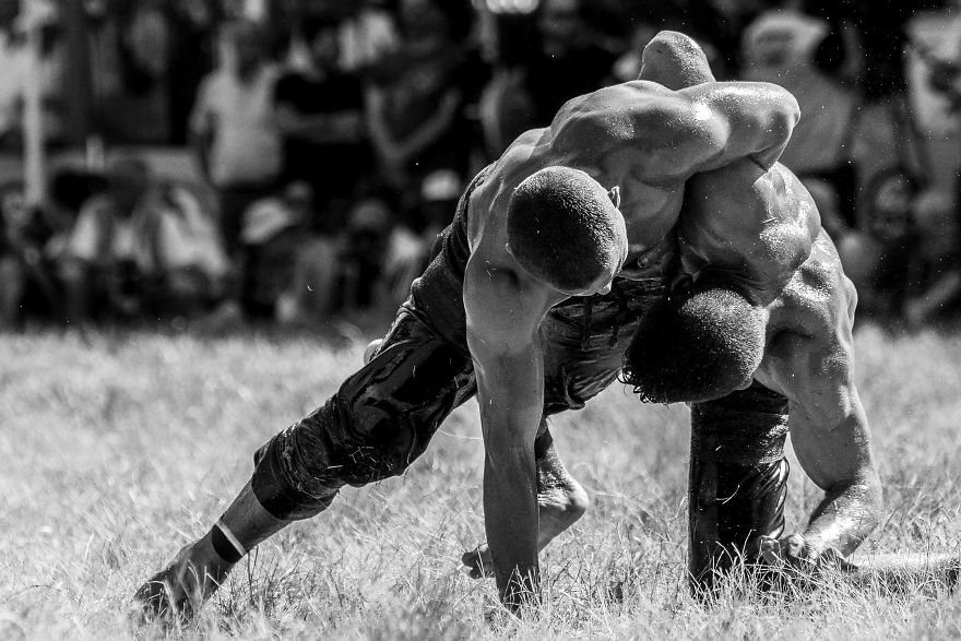 Muscles, Sweat, Blood, And Olive Oil Muscles, Sweat, Blood, And Olive Oil