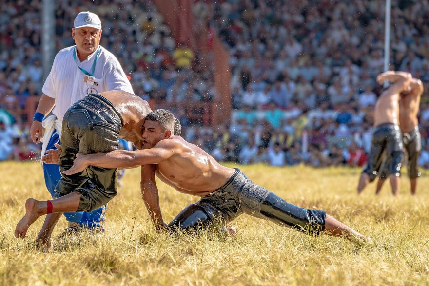 Muscles, Sweat, Blood, And Olive Oil