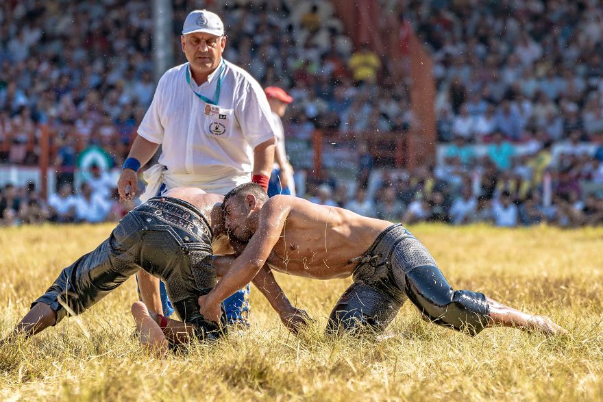 Muscles, Sweat, Blood, And Olive Oil Muscles, Sweat, Blood, And Olive Oil