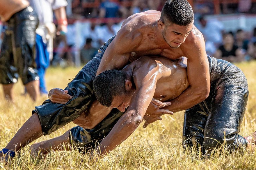 Muscles, Sweat, Blood, And Olive Oil Muscles, Sweat, Blood, And Olive Oil