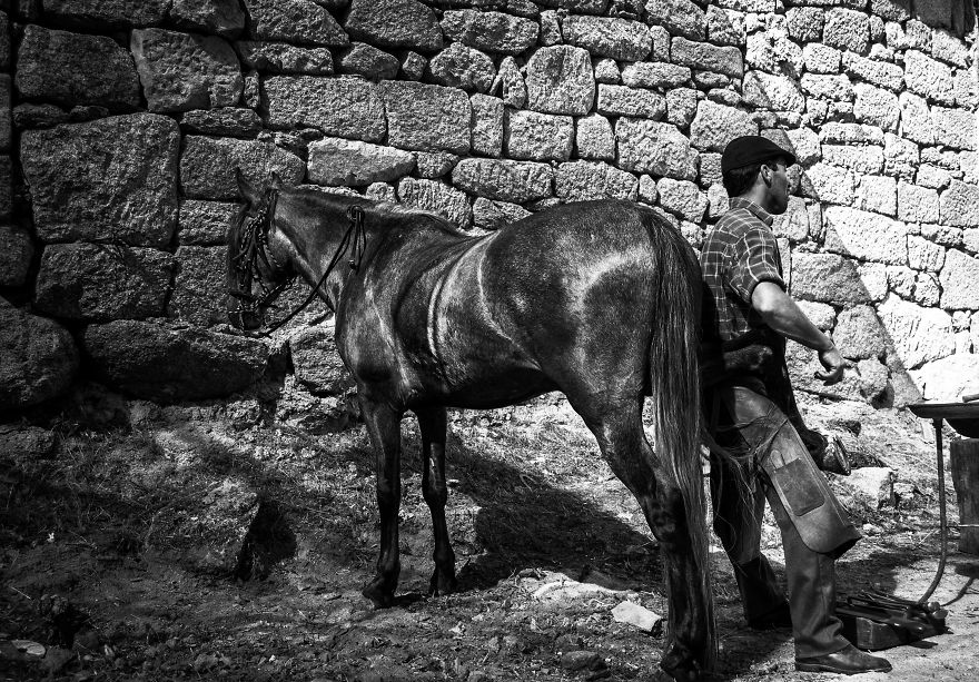 I Photographed The Life Of The Shepherds I Photographed The Life Of The Shepherds