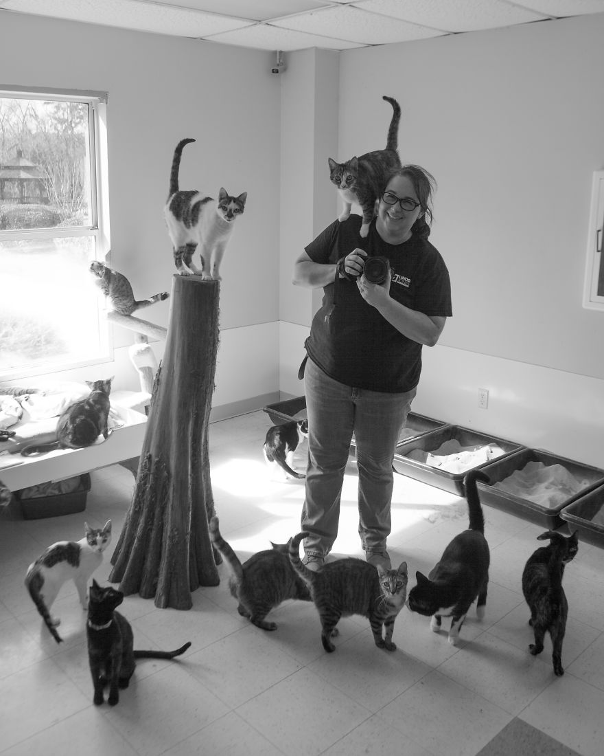 I Help Dapper Cats Find Love