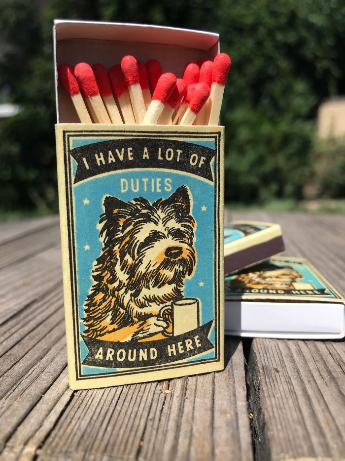 I Created Matchboxes Featuring Different Dog Breeds With Complicated Human Personalities