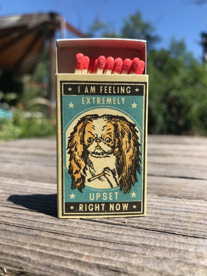 I Created Matchboxes Featuring Different Dog Breeds With Complicated Human Personalities I Created Matchboxes Featuring Different Dog Breeds With Complicated Human Personalities