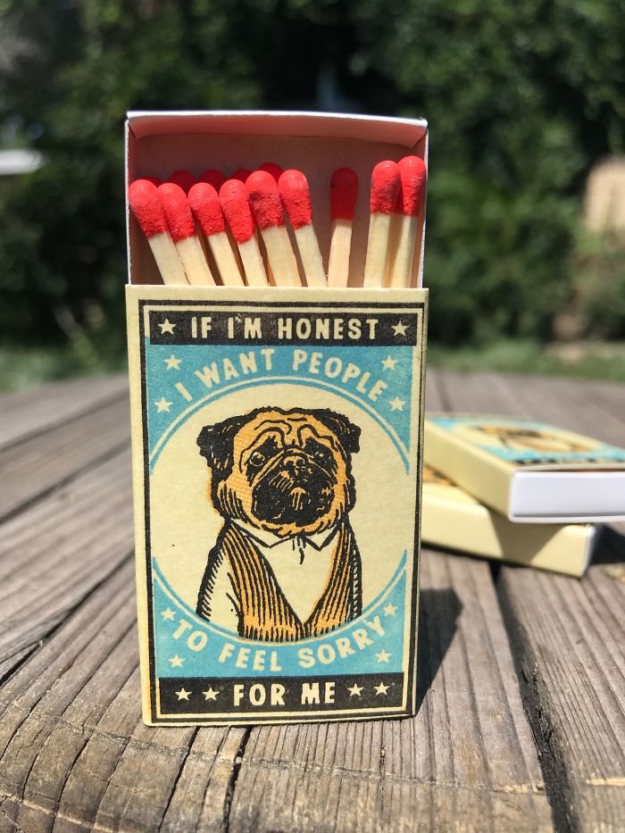 I Created Matchboxes Featuring Different Dog Breeds With Complicated Human Personalities