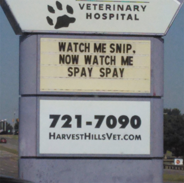 Veterinary hospital sign with funny cat joke about spaying pets, showcasing humor from vet clinics on their signs.