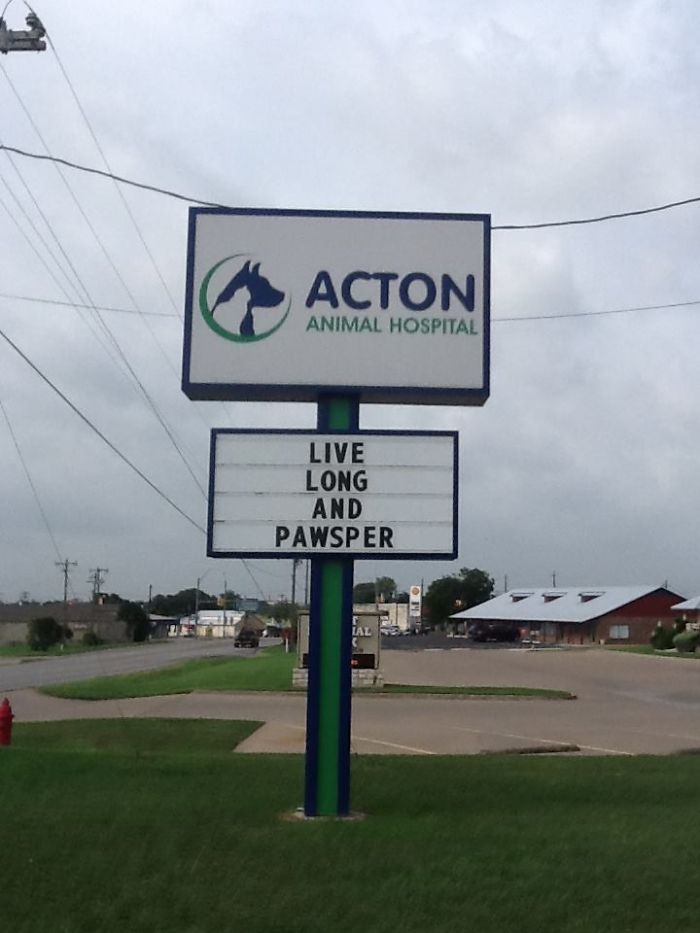 Vet clinic sign with a funny cat joke saying live long and pawsper at Acton Animal Hospital on a cloudy day.